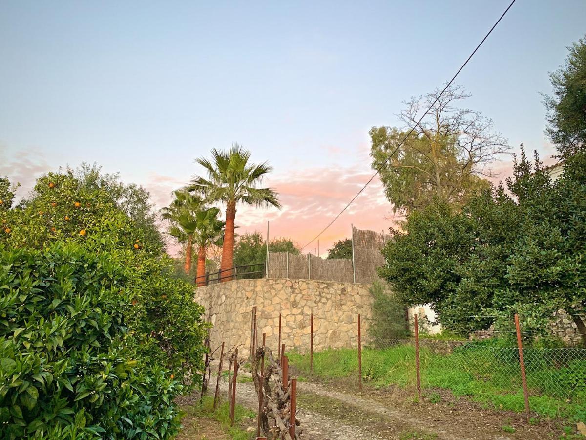 Vivelorural Casa Y Piscina En Zahara De La Sierra Villa Екстериор снимка