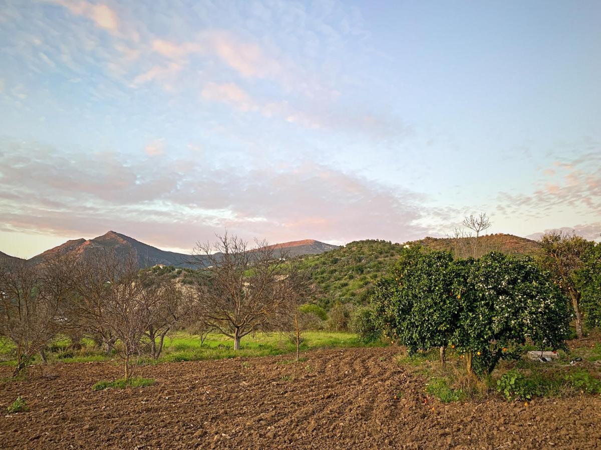 Vivelorural Casa Y Piscina En Zahara De La Sierra Villa Екстериор снимка